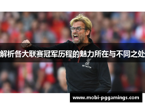 解析各大联赛冠军历程的魅力所在与不同之处