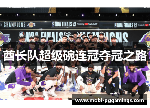 酋长队超级碗连冠夺冠之路 酋长队超级碗连冠夺冠之路