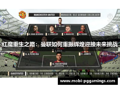 红魔重生之路：曼联如何重振辉煌迎接未来挑战